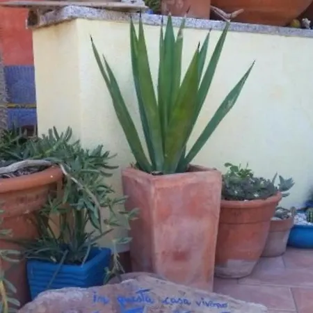 Taverna Elena Apartman