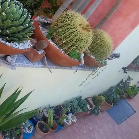 Apartman Taverna Elena